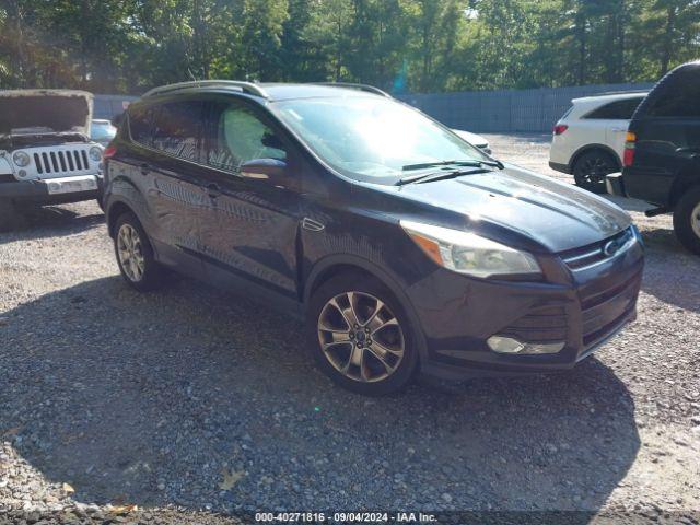  Salvage Ford Escape