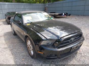  Salvage Ford Mustang