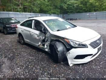  Salvage Hyundai SONATA