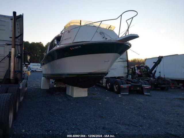  Salvage Silverton Boat