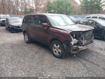  Salvage Honda Pilot