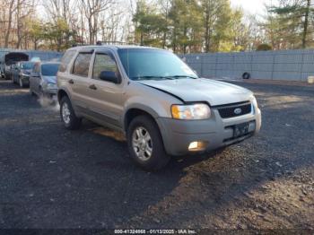  Salvage Ford Escape