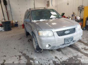  Salvage Ford Escape