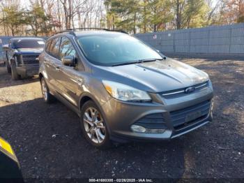  Salvage Ford Escape