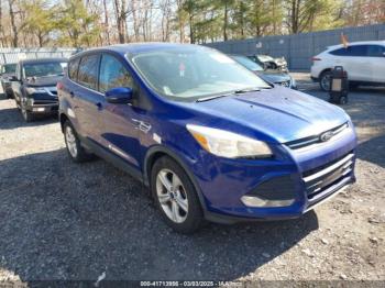  Salvage Ford Escape