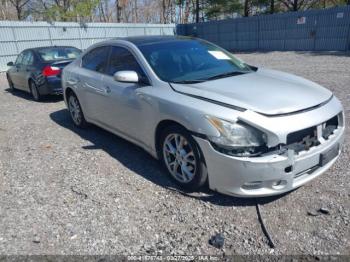  Salvage Nissan Maxima