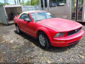  Salvage Ford Mustang