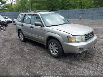  Salvage Subaru Forester