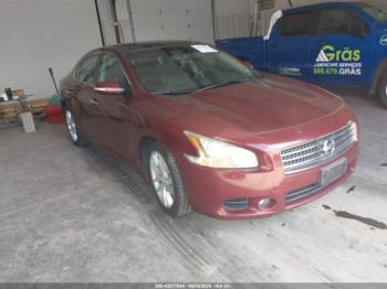  Salvage Nissan Maxima