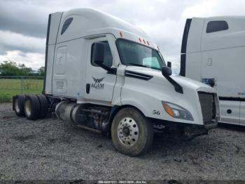  Salvage Freightliner New Cascadia 126