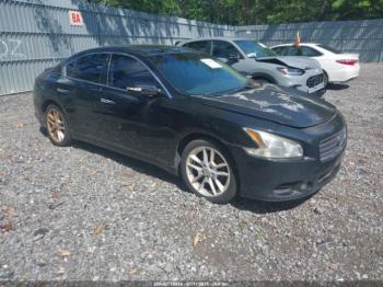  Salvage Nissan Maxima