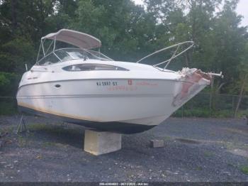  Salvage Bayliner Other