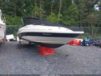  Salvage Sea Ray Other
