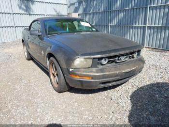  Salvage Ford Mustang