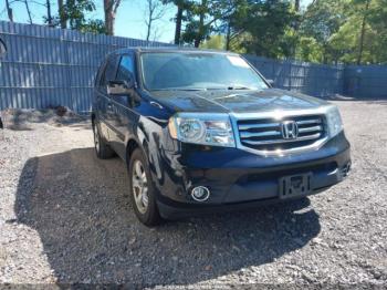  Salvage Honda Pilot