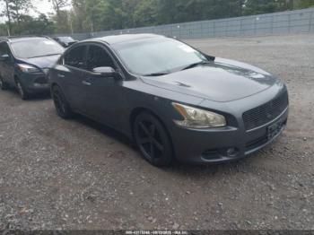  Salvage Nissan Maxima
