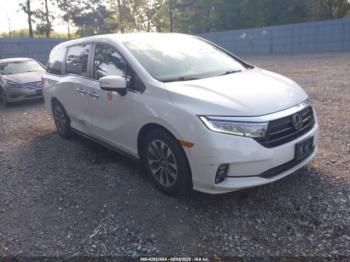  Salvage Honda Odyssey
