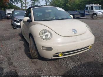  Salvage Volkswagen Beetle