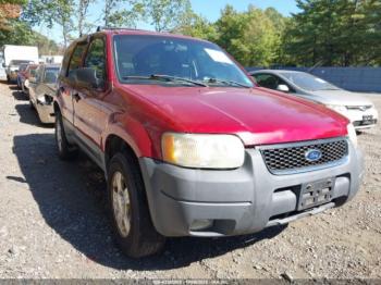  Salvage Ford Escape