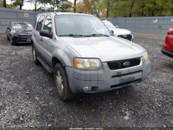  Salvage Ford Escape