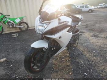  Salvage Yamaha Fz6