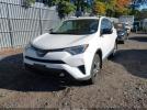 Toyota RAV4 Le Image 3