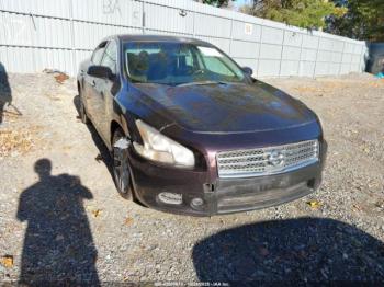  Salvage Nissan Maxima