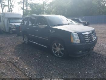  Salvage Cadillac Escalade