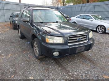  Salvage Subaru Forester
