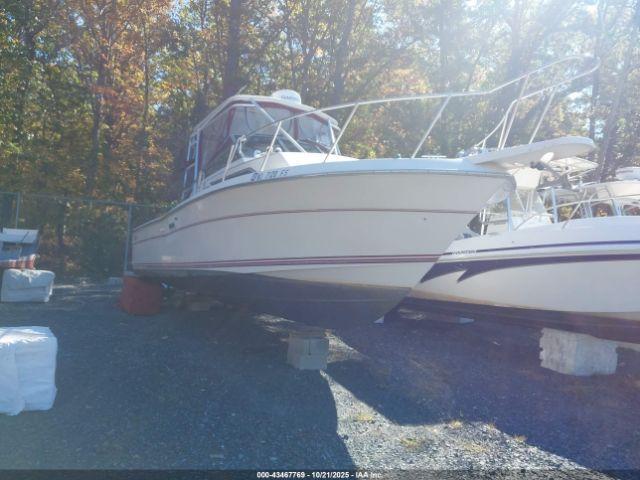  Salvage Wellcraft Other