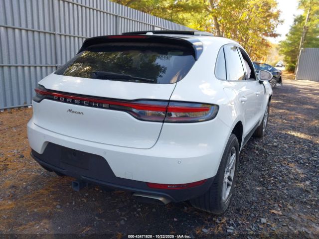 Porsche Macan Image 2