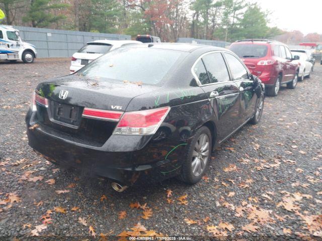 Honda Accord 3.5 Ex-l Image 5