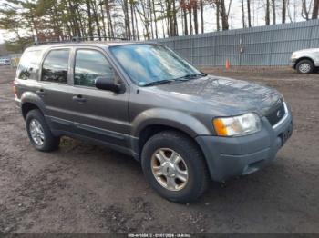  Salvage Ford Escape
