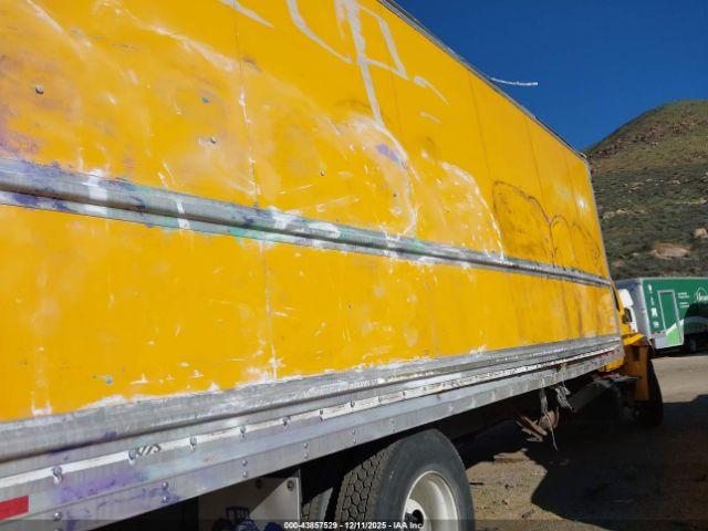 International Mv Image 4