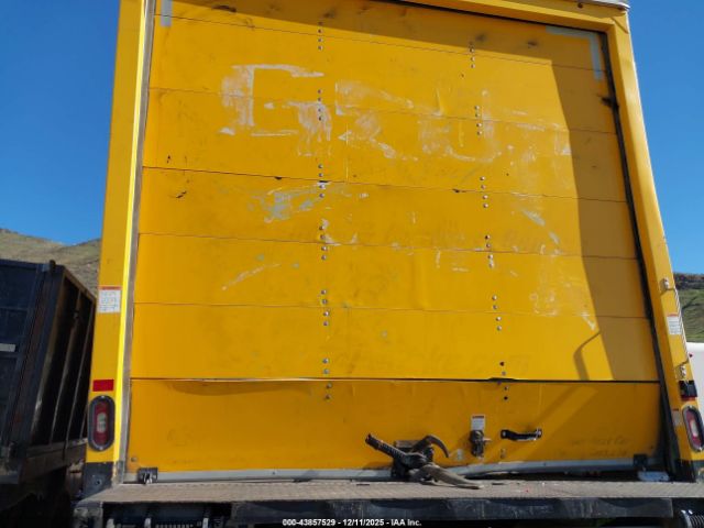 International Mv Image 7