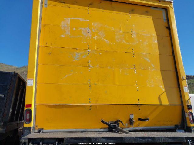 International Mv Image 7