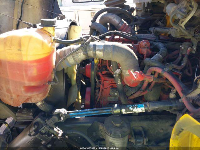 International Mv Image 14