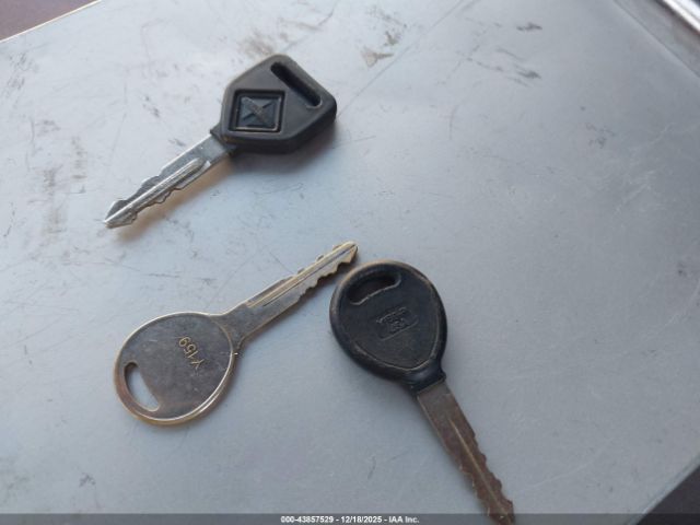 International Mv Image 18