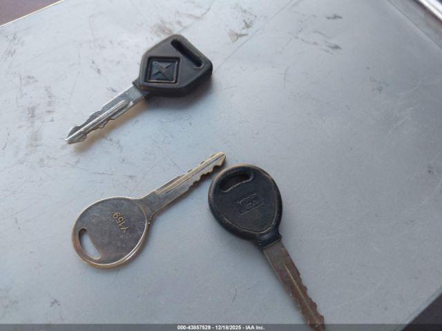 International Mv Image 18