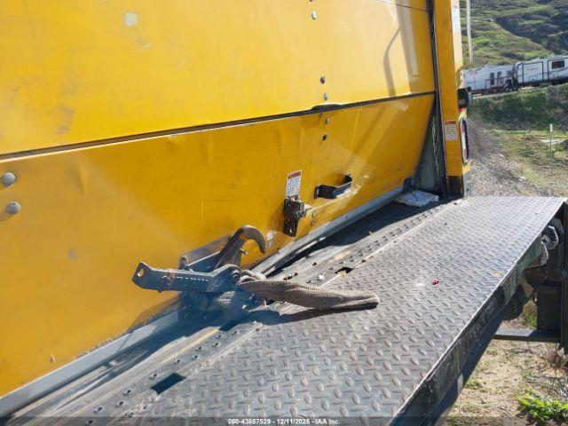 International Mv Image 15