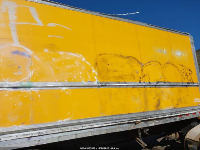 International Mv Image 17