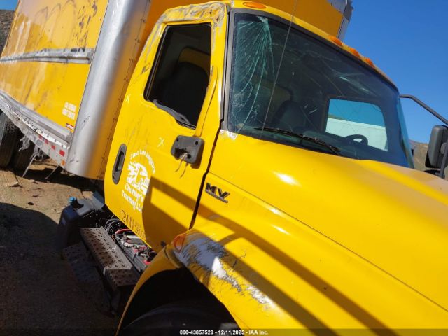 International Mv Image 13